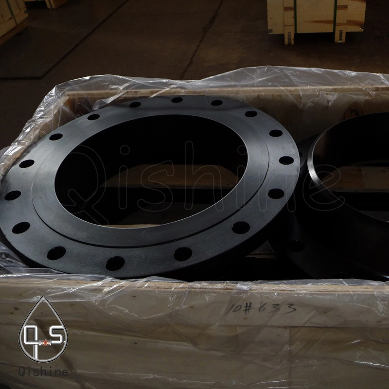 ASME ANSI En JIS BS DIN Awwa API Forged Carbon Steel Wn So Bl Sw RF Flange